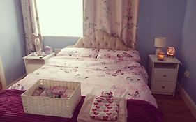 Swan Studio Haven